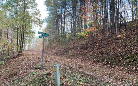 25 Mountain Knoll Lane Warne NC 28909