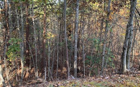 25 Mountain Knoll Lane Warne NC 28909