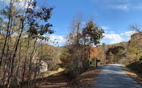 25 Mountain Knoll Lane Warne NC 28909