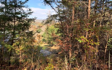 25 Mountain Knoll Lane Warne NC 28909