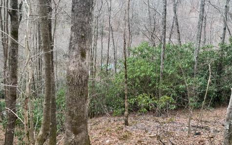 25 Mountain Knoll Lane Warne NC 28909