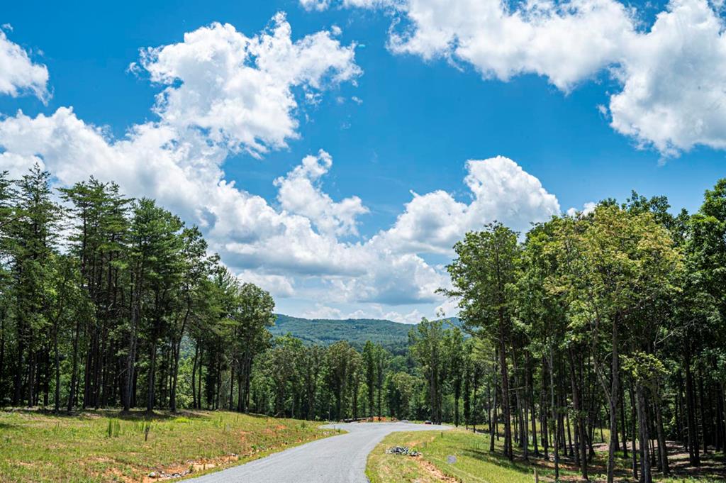 Lt 151 The Ridges Morganton GA 30560