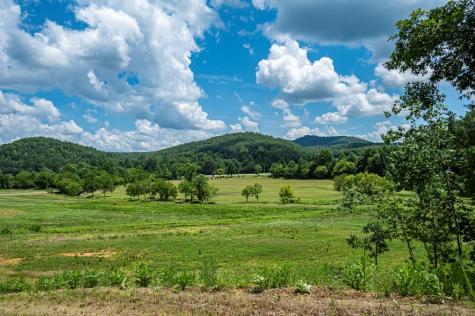 Lt 151 The Ridges Morganton GA 30560