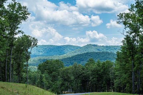 Lt 151 The Ridges Morganton GA 30560