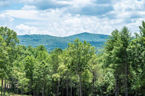 Lt 151 The Ridges Morganton GA 30560