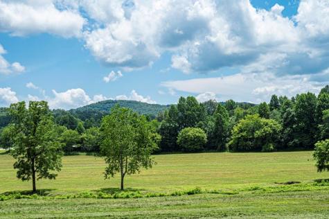 Lt 151 The Ridges Morganton GA 30560