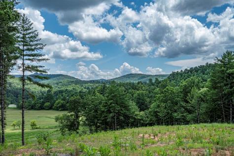 Lt 151 The Ridges Morganton GA 30560