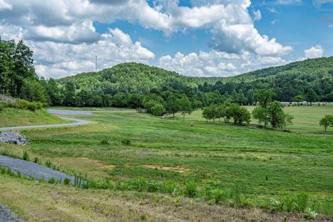 Lt 151 The Ridges Morganton GA 30560