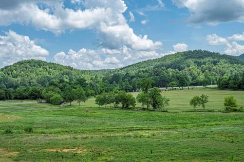 Lt 151 The Ridges Morganton GA 30560