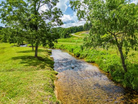 Lt 151 The Ridges Morganton GA 30560