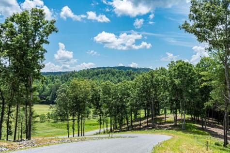Lt 151 The Ridges Morganton GA 30560