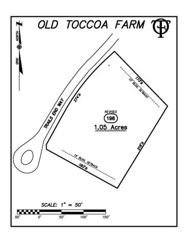 Lot 196 NW Trails End Way Mineral Bluff GA 30559