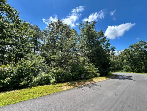 Lot 196 NW Trails End Way Mineral Bluff GA 30559