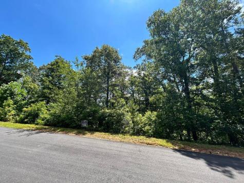 Lot 196 NW Trails End Way Mineral Bluff GA 30559