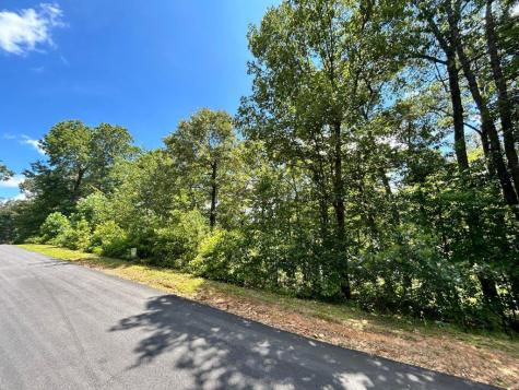 Lot 196 NW Trails End Way Mineral Bluff GA 30559