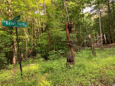 Lot 57 Rainy Farm Road Murphy NC 28906