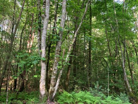 Lot 57 Rainy Farm Road Murphy NC 28906