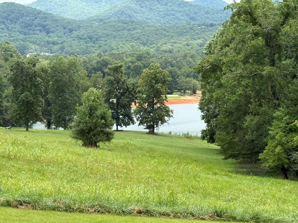Lot 3 Viewpoint Lane Blairsville GA 30512