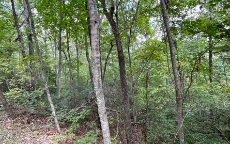 Lot 20 Enchanted Ridge Hayesville NC 28904