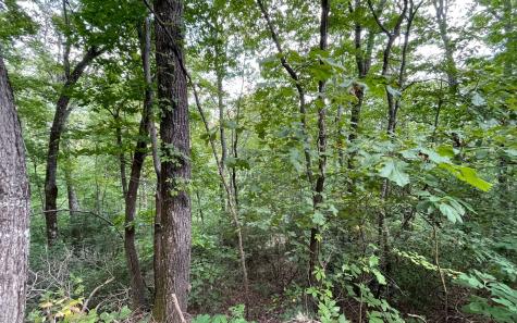 Lot 20 Enchanted Ridge Hayesville NC 28904