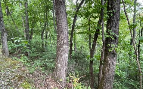 Lot 20 Enchanted Ridge Hayesville NC 28904