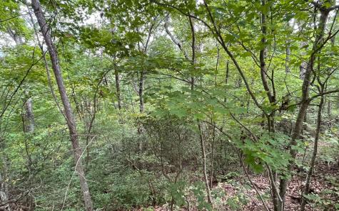 Lot 20 Enchanted Ridge Hayesville NC 28904