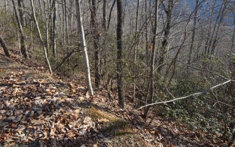 Lot 20 Enchanted Ridge Hayesville NC 28904