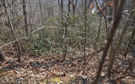 Lot 20 Enchanted Ridge Hayesville NC 28904