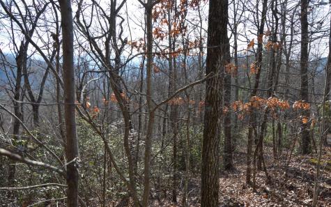 Lot 20 Enchanted Ridge Hayesville NC 28904