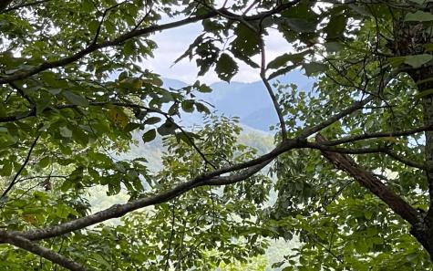 Lot 20 Enchanted Ridge Hayesville NC 28904