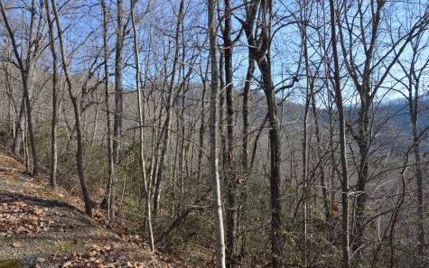 Lot 20 Enchanted Ridge Hayesville NC 28904