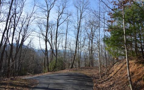 Lot 20 Enchanted Ridge Hayesville NC 28904