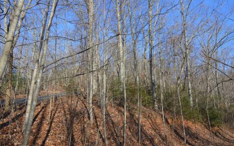 Lot 20 Enchanted Ridge Hayesville NC 28904