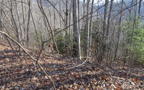 Lot 20 Enchanted Ridge Hayesville NC 28904