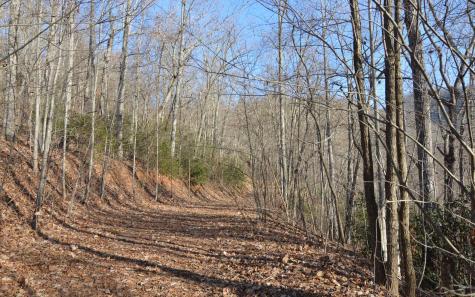 Lot 20 Enchanted Ridge Hayesville NC 28904