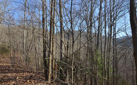 Lot 20 Enchanted Ridge Hayesville NC 28904