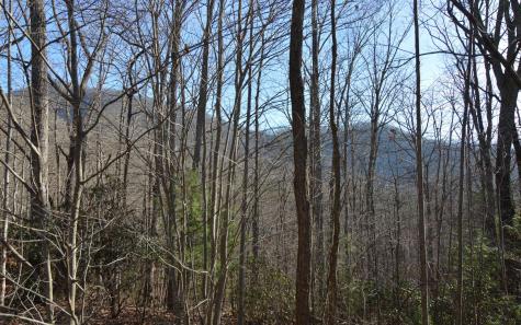 Lot 20 Enchanted Ridge Hayesville NC 28904