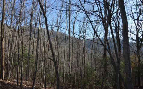 Lot 20 Enchanted Ridge Hayesville NC 28904