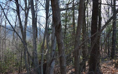 Lot 20 Enchanted Ridge Hayesville NC 28904