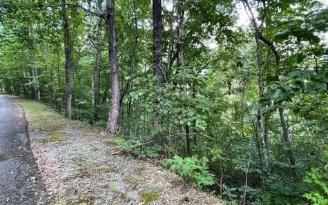 Lot 20 Enchanted Ridge Hayesville NC 28904
