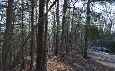 Lot 20 Enchanted Ridge Hayesville NC 28904