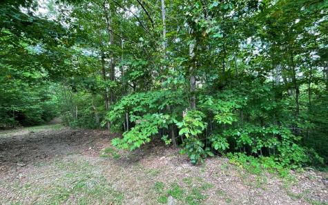 Lot 20 Enchanted Ridge Hayesville NC 28904