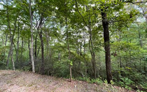Lot 20 Enchanted Ridge Hayesville NC 28904