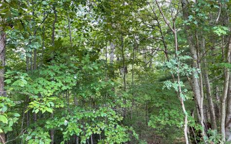 Lot 20 Enchanted Ridge Hayesville NC 28904