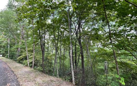 Lot 20 Enchanted Ridge Hayesville NC 28904