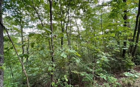Lot 20 Enchanted Ridge Hayesville NC 28904