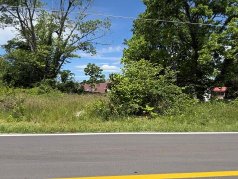 Lt 19 E Second Street Blue Ridge GA 30513