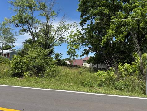 Lt 19 E Second Street Blue Ridge GA 30513