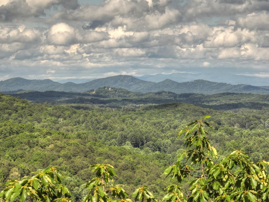 0 Menagerie Ridge Epworth GA 30541