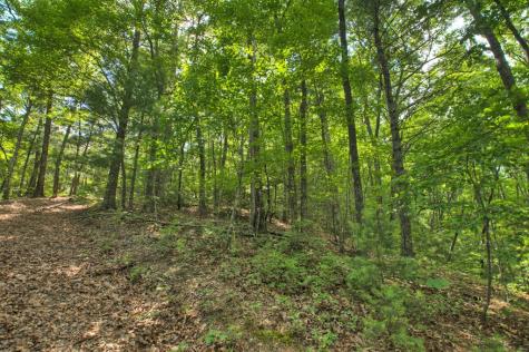 0 Menagerie Ridge Epworth GA 30541